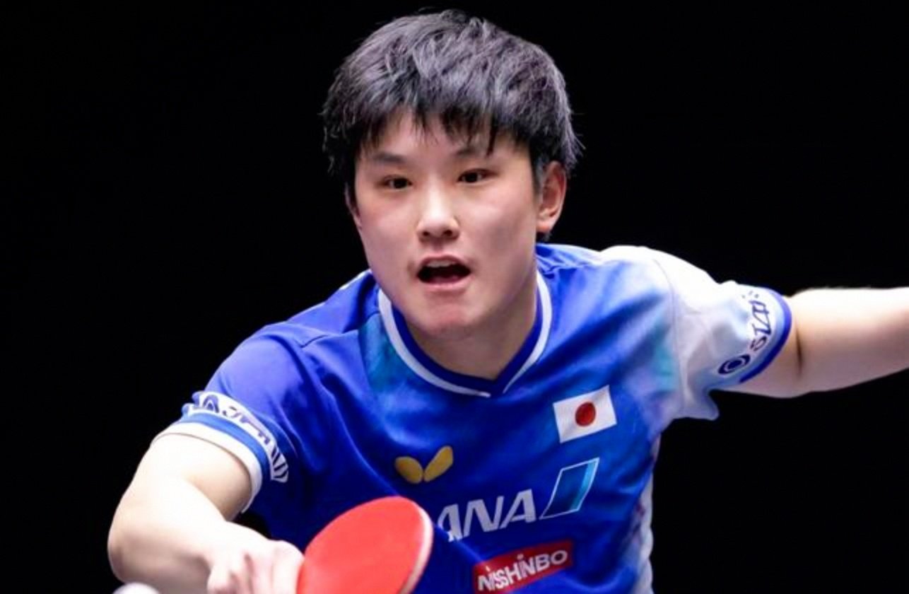 开云体育2026-日本队横扫法国队，张本智和刷新纪录