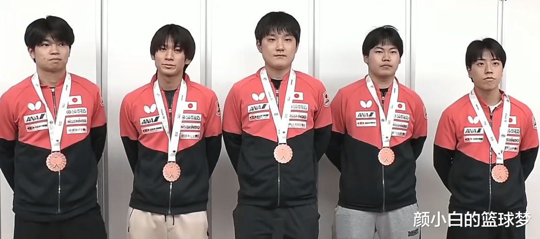 奥地利队横扫英格兰队，张本智和扛起全队