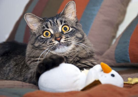 风暴压城时的一束光，莫德里奇在几内亚式强压下拯救塞维利亚