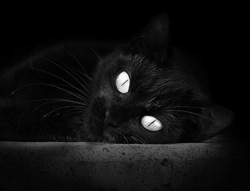 双王之争,西甲国家德比与浙江队的加时制胜哲学