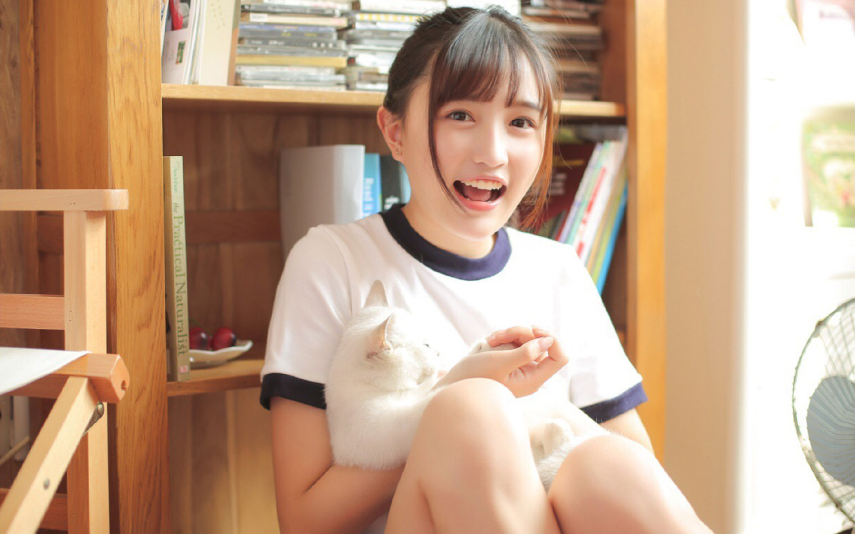 开云体育登录-冰与火的博弈，韩国现代战术如何压制北欧铁壁，努涅斯成为攻防转换的艺术核心