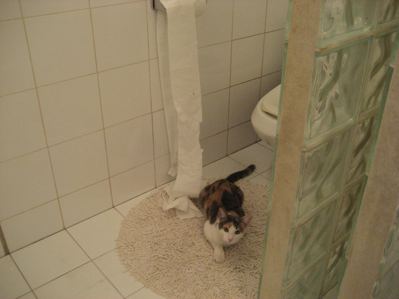 跨洋对决,热火争冠战力克广东队,小贾伦防守端锁死对手铸就胜利