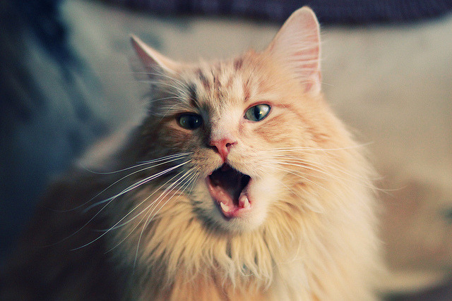 开云体育入口-抢七之夜，阿什拉夫，从边卫到领袖，一人扛起全队