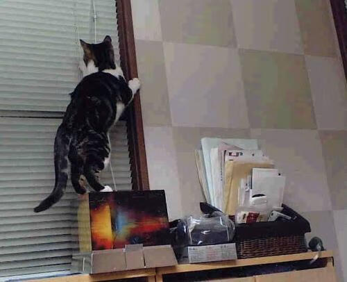 相隔八千公里的同频心跳，当英超争冠战遇上中超生死局