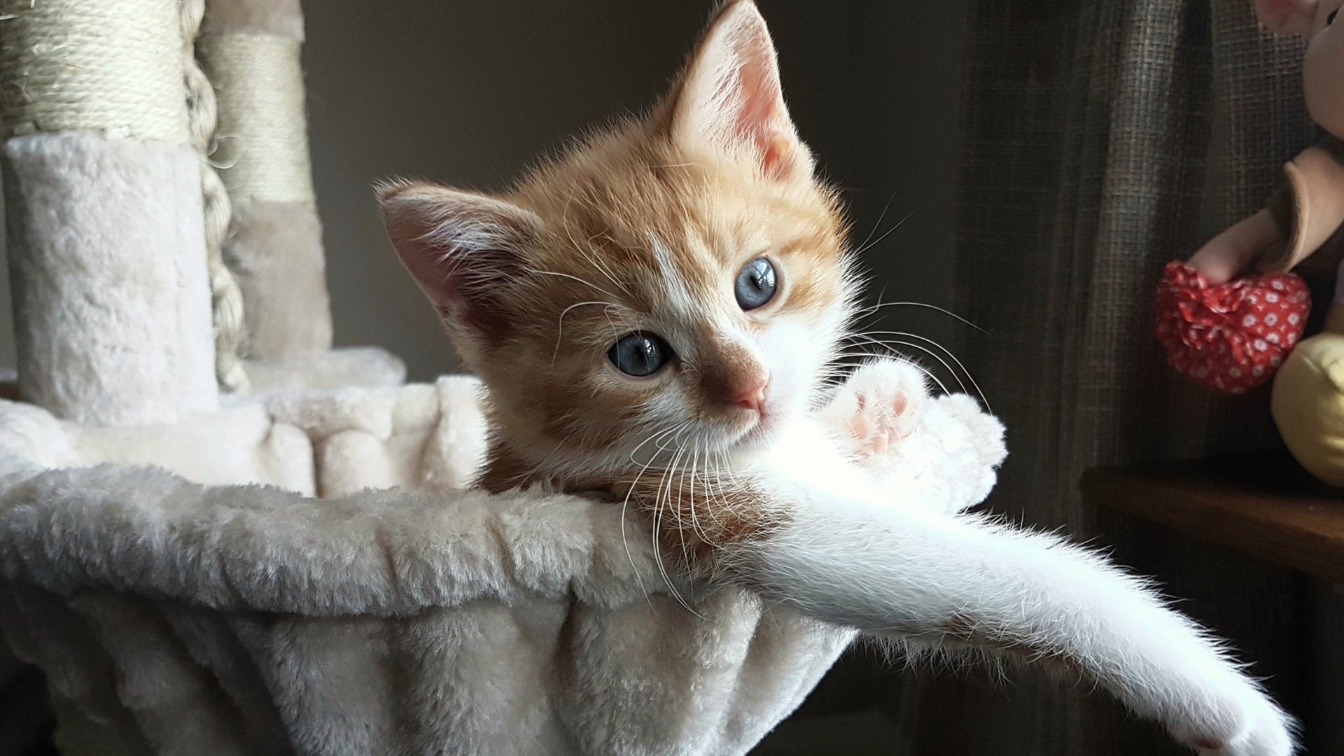 跨越球场的掌控时刻，上海队单节狂飙与乔治在意甲的独舞