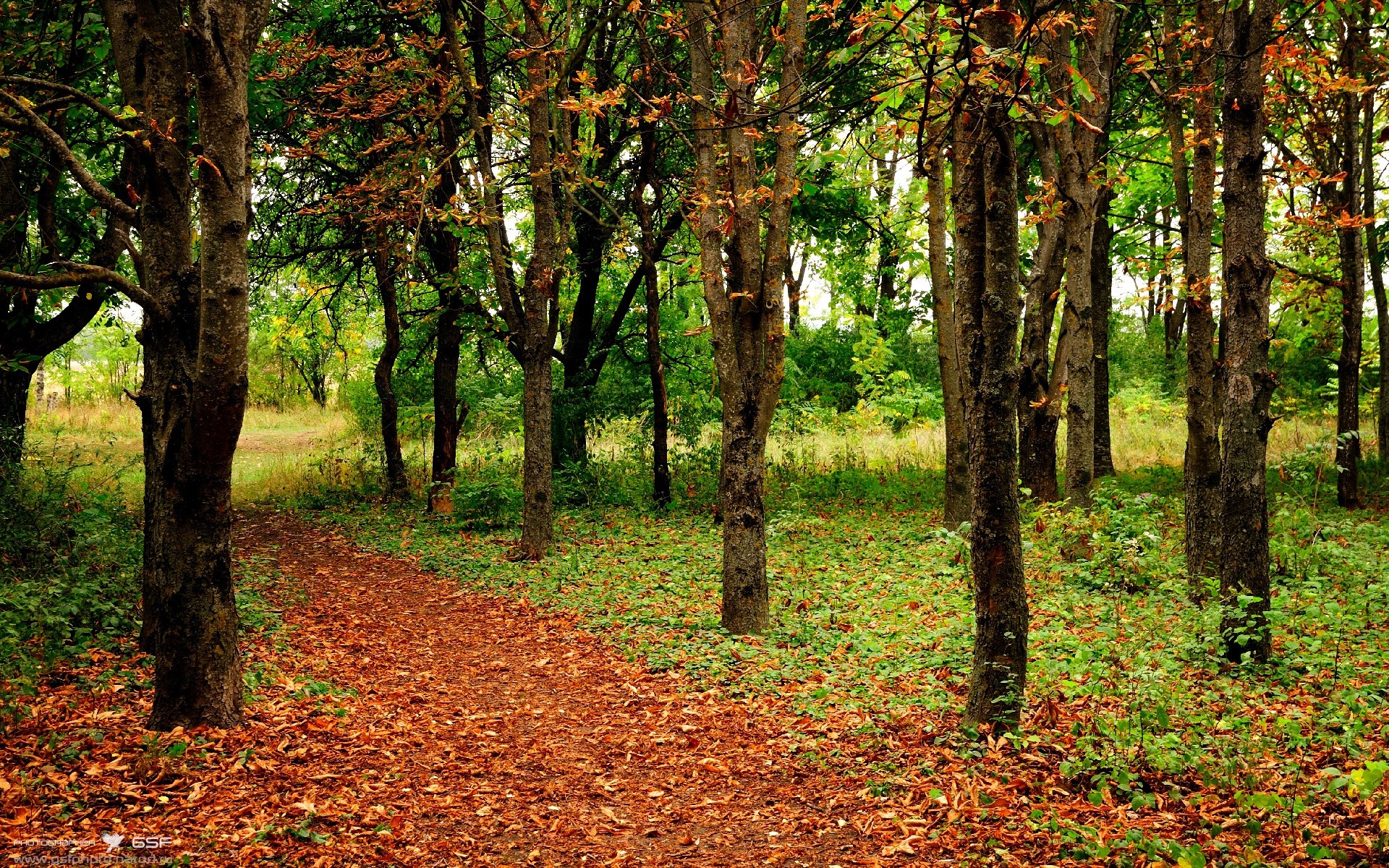 当爵士用军事化战术碾压快船时，约基奇用慢三拍艺术写下另一种统治宣言