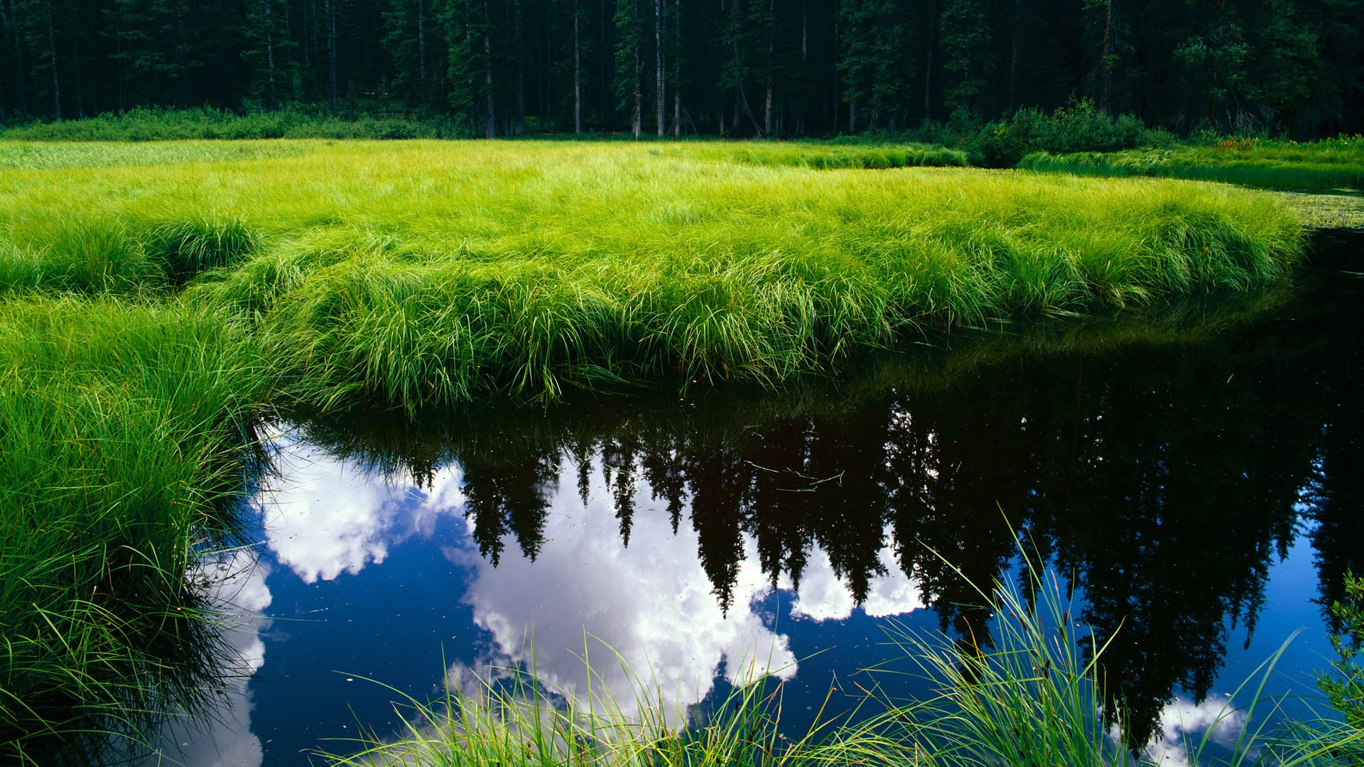 开云体育入口-方案一（诗意比喻）破茧成蝶！阿尔瓦雷斯飓风式破局，阿根廷利刃出鞘踏平洪都拉斯