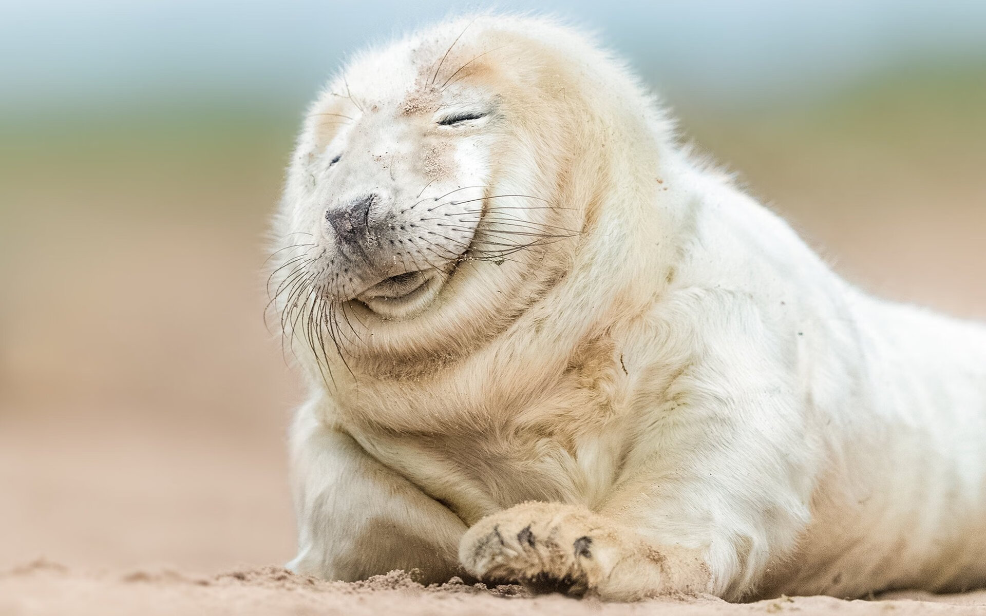 公牛逆袭上海滩,德罗赞能否在美加墨世界杯上演降维打击?