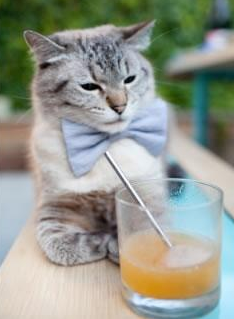 铁卫头槌破僵局,雄狮怒吼镇药厂