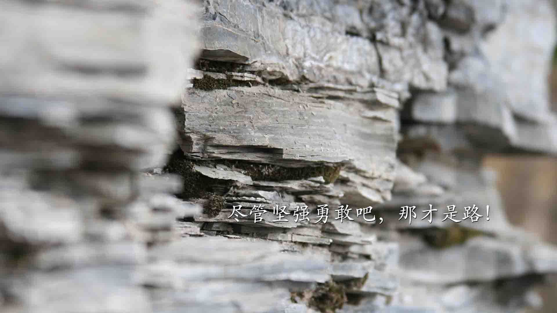 开云体育登录-中场革命双重奏，当阿森纳收割德国，李刚仁在生死时刻接管西决