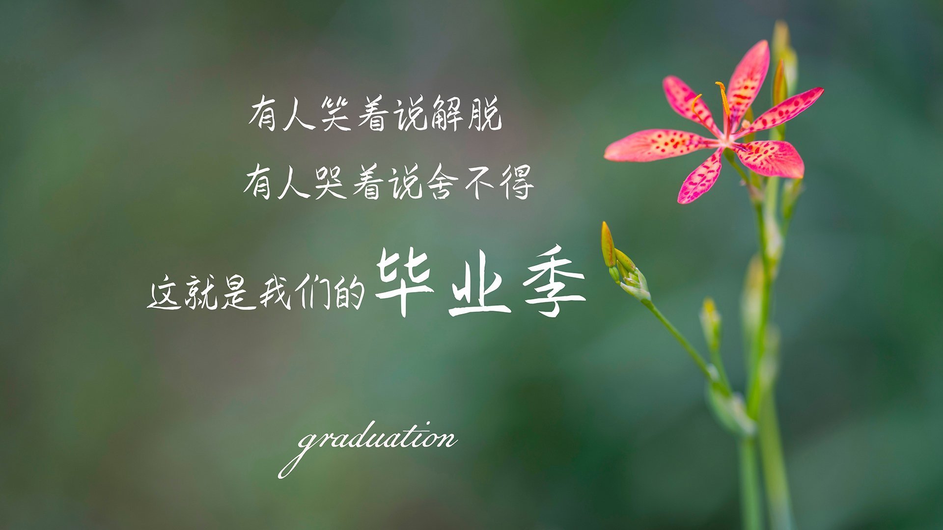 开云体育APP下载-这是一篇关于唯一性的命题创作。为了体现唯一性，我没有采用常规的赛后报道写法，而是从瞬间的唯一性和历史的唯一性两个维度切入