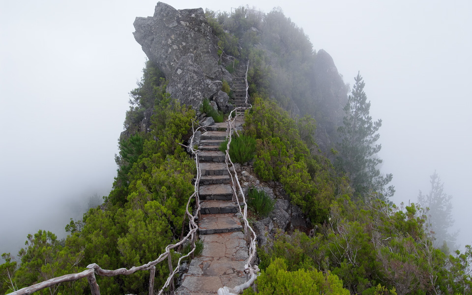 沙漠之狐的逆袭,归化神兵坎塞洛一剑封喉,卡塔尔掀翻高卢雄鸡登顶小组